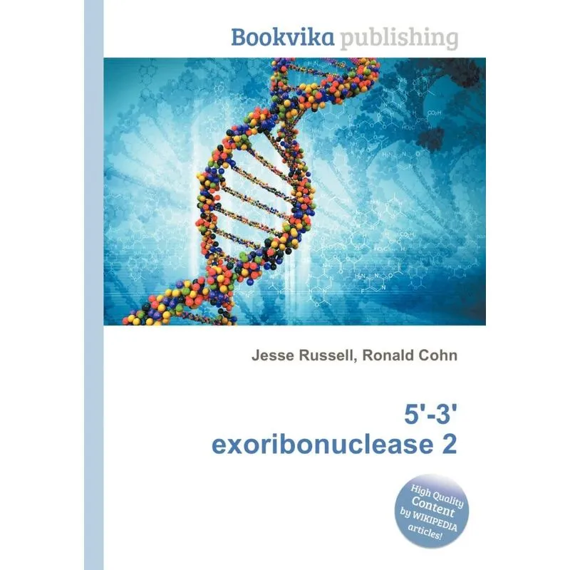 5-3 Exoribonuclease 2