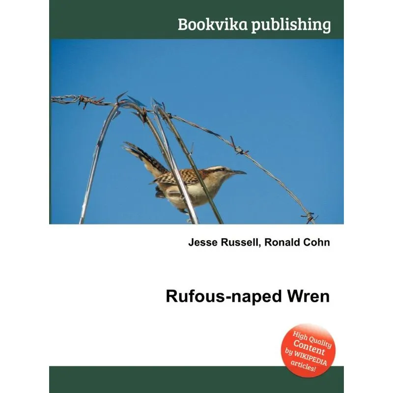 Rufous-Naped Wren