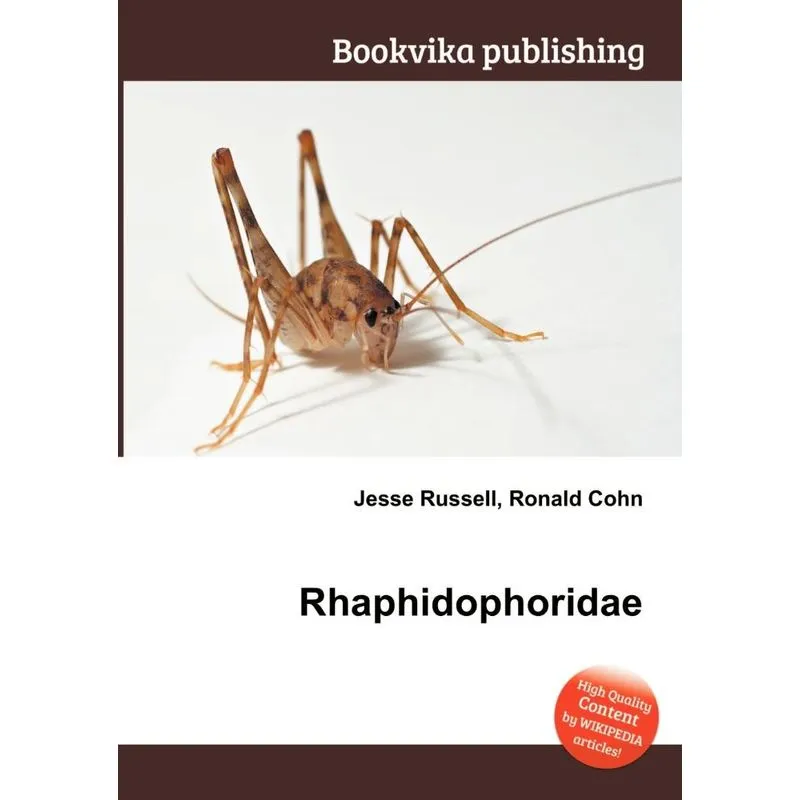 Rhaphidophoridae