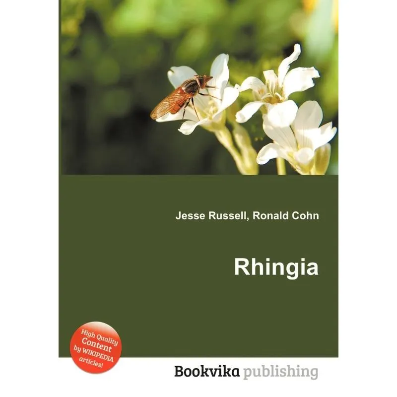 Rhingia