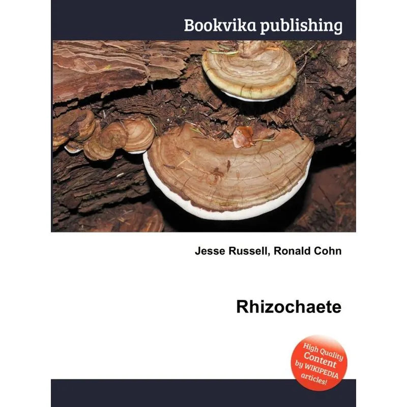 Rhizochaete