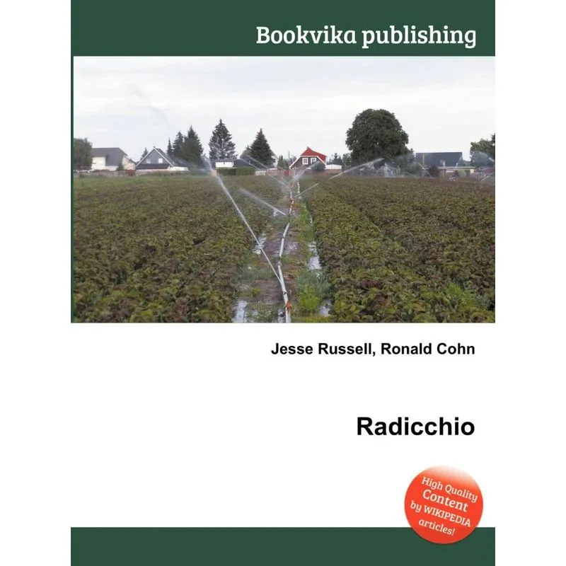 Radicchio