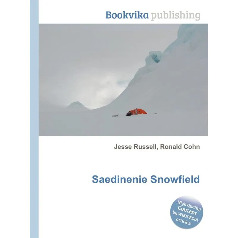 Saedinenie Snowfield