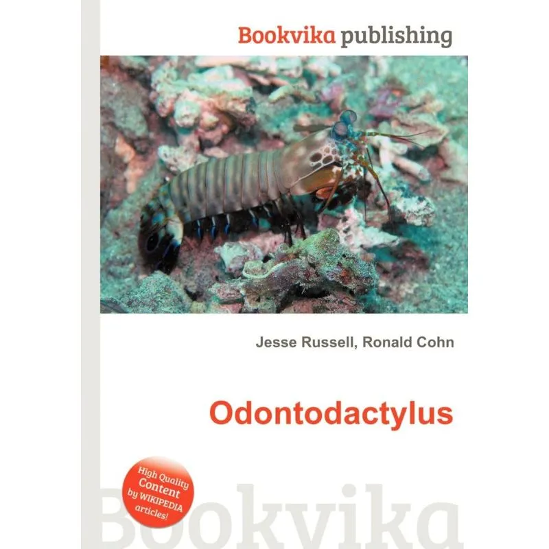 Odontodactylus