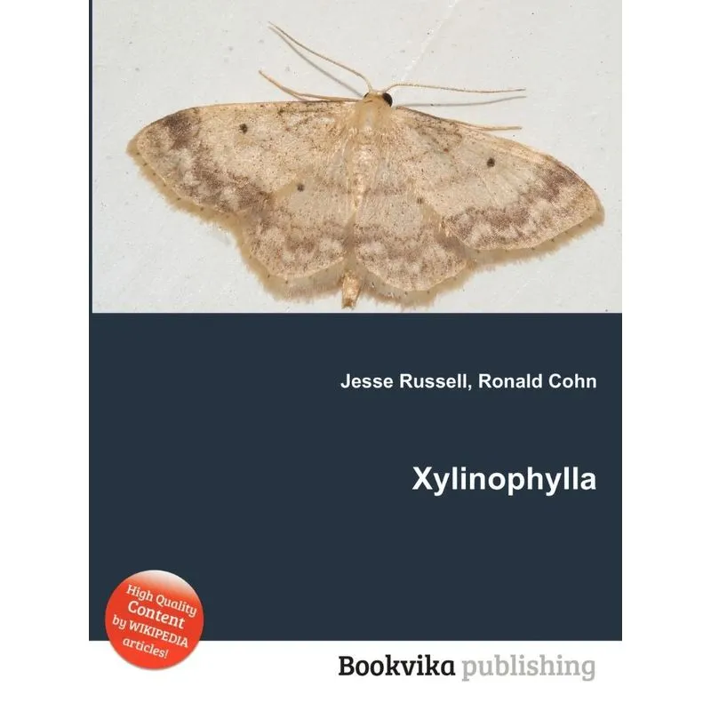 Xylinophylla