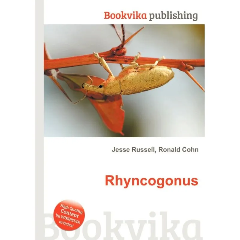 Rhyncogonus