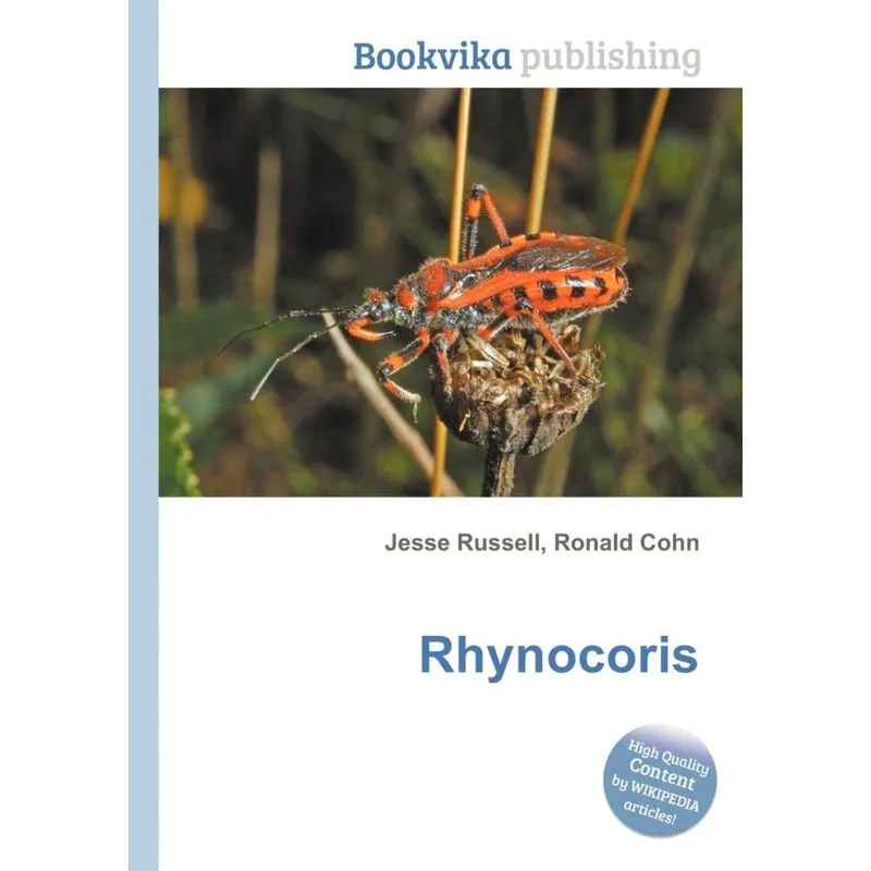 Rhynocoris