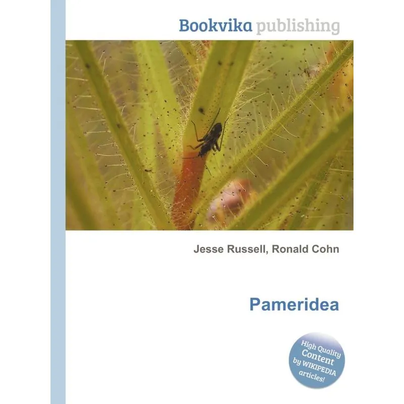 Pameridea