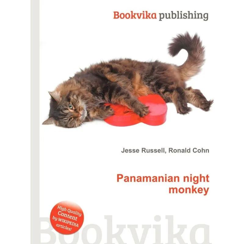 Panamanian Night Monkey