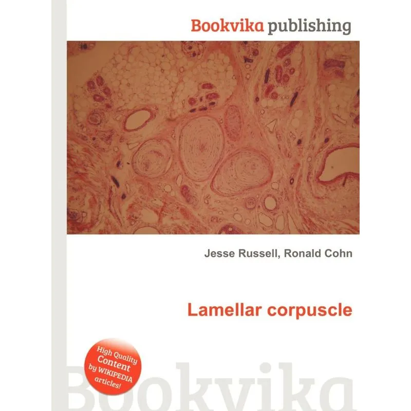 Lamellar Corpuscle