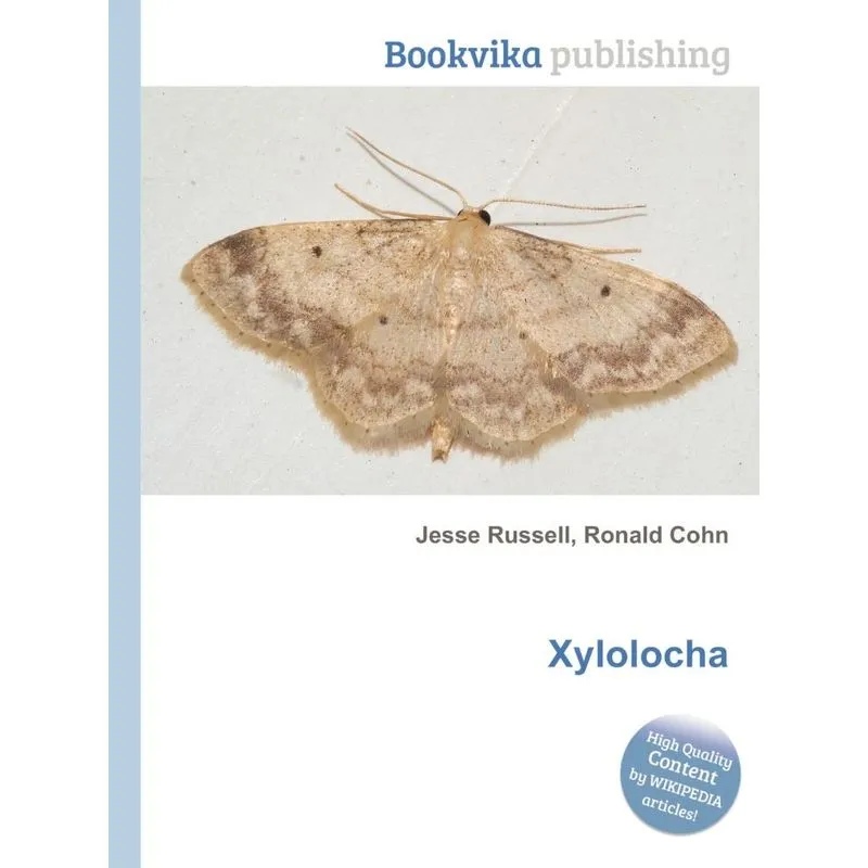 Xylolocha