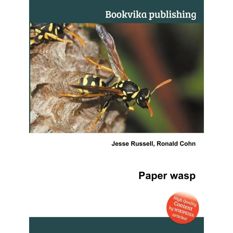 Paper Wasp