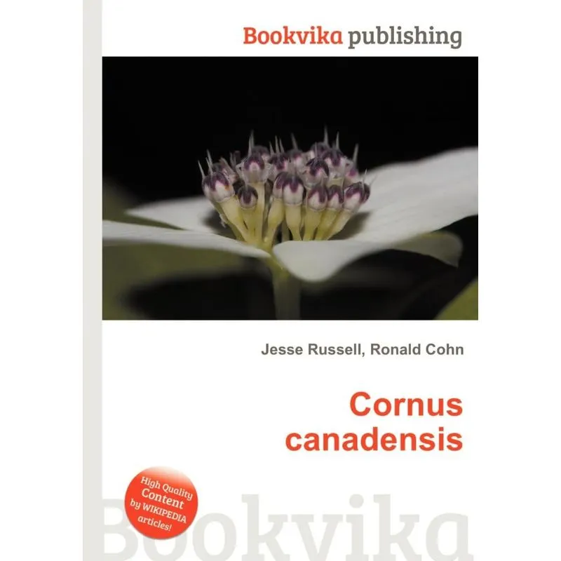 Cornus Canadensis