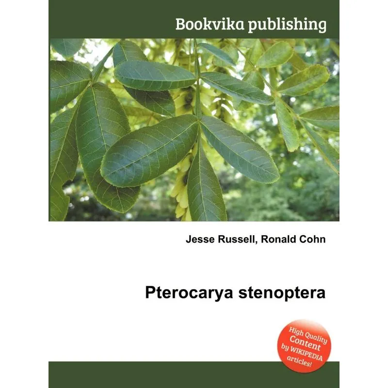 Pterocarya Stenoptera