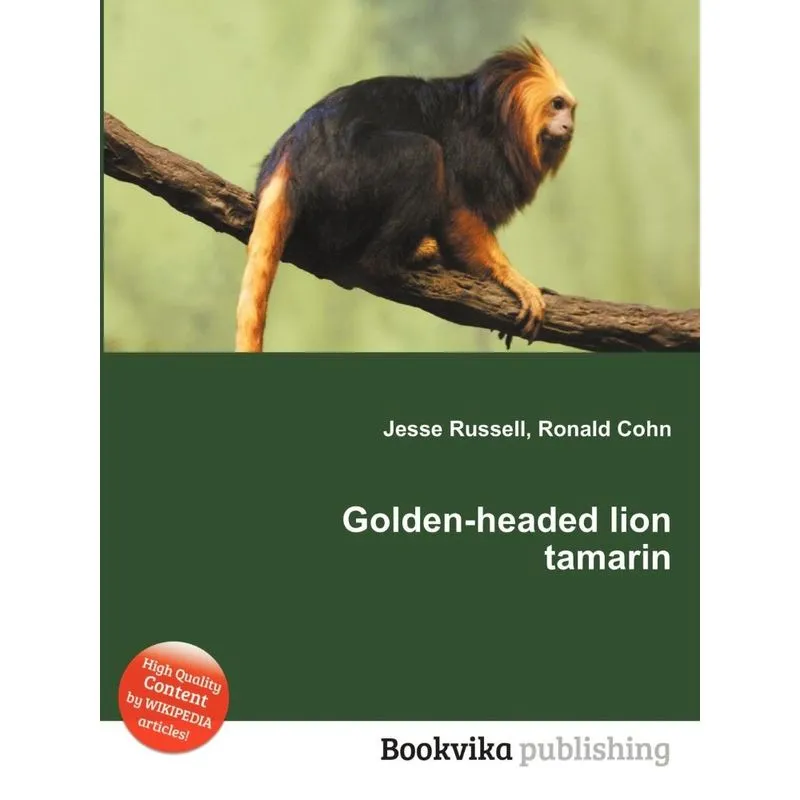 Golden-headed Lion Tamarin