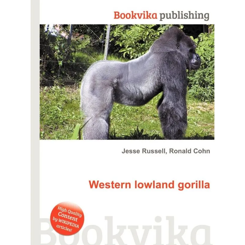 Western Lowland Gorilla