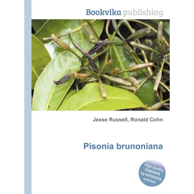 Pisonia Brunoniana