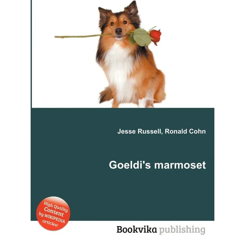 Goeldis Marmoset