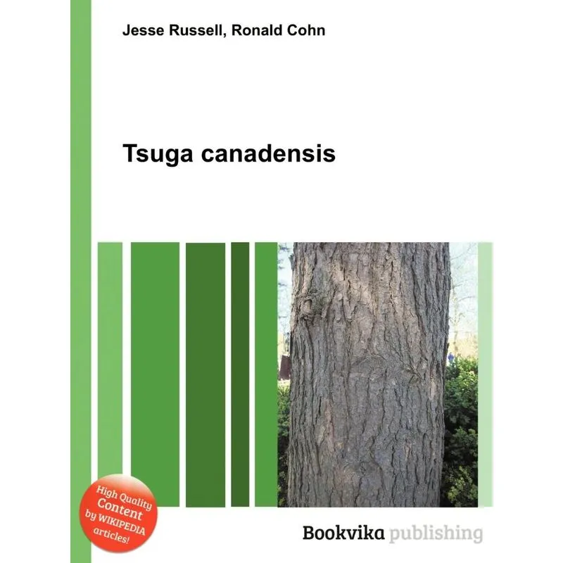 Tsuga Canadensis