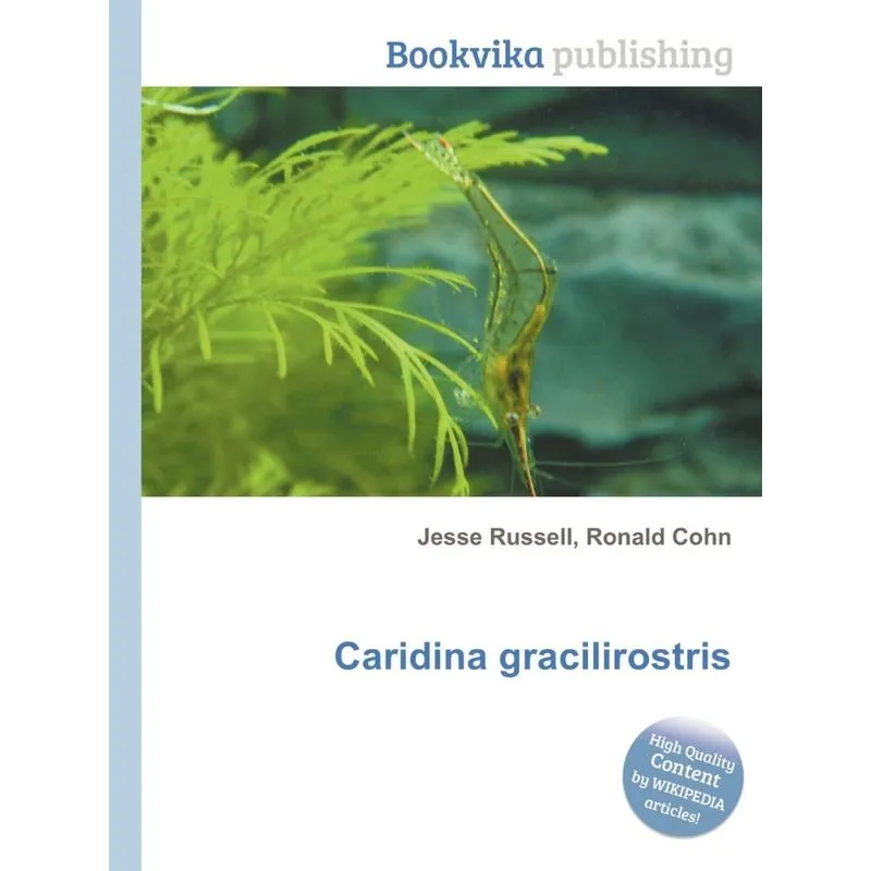 Caridina Gracilirostris