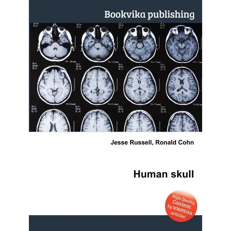 Human Skull