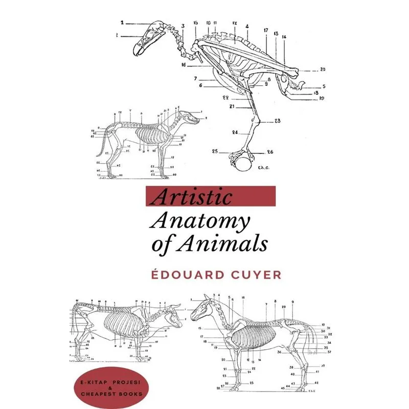 Artistic Anatomy of Animals