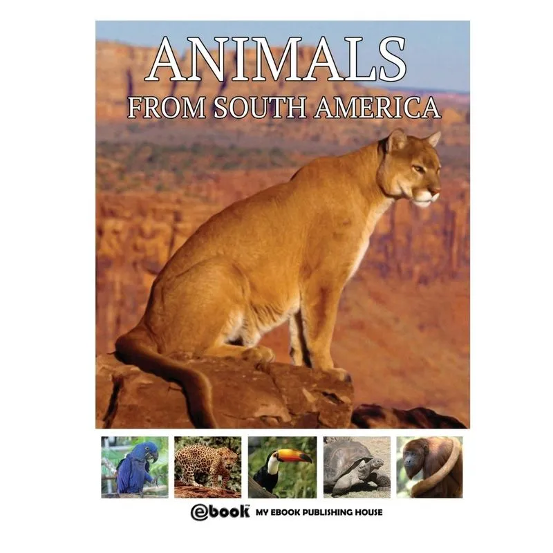 Animals from South America
