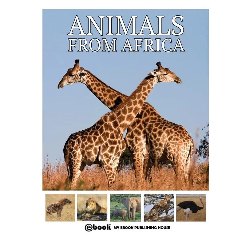 Animals From Africa