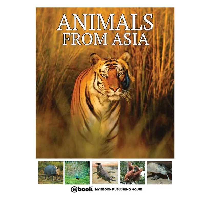 Animals From Asia