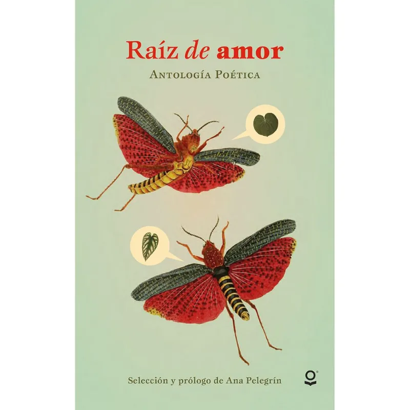 Raiz de amor Raíz de amor