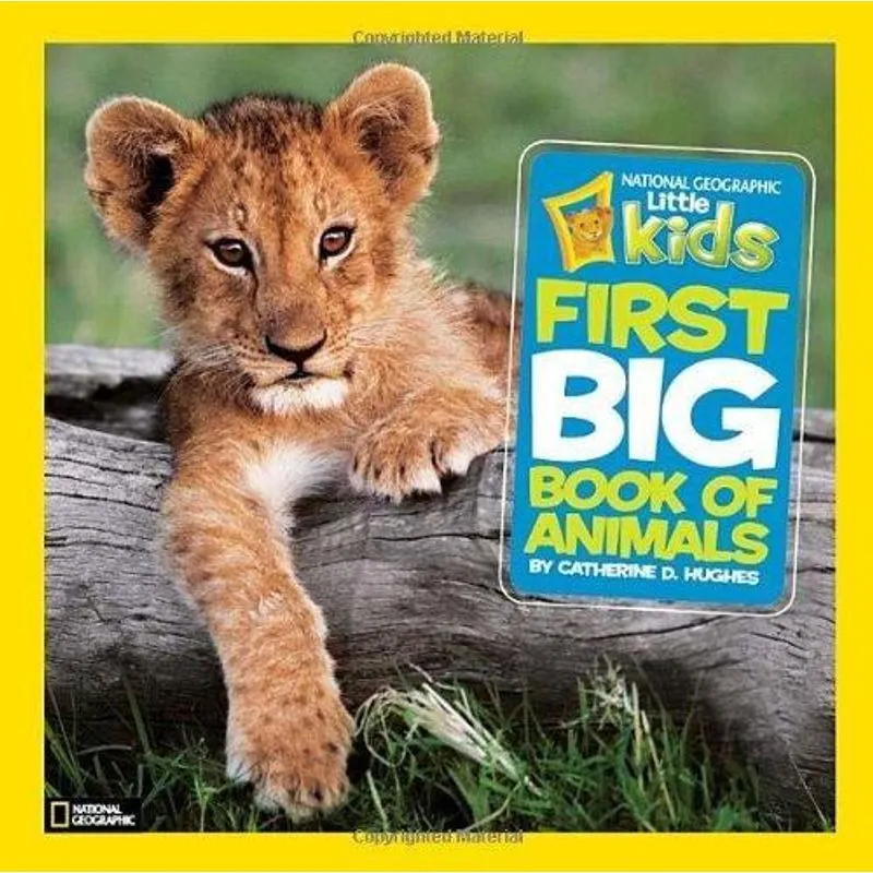 American Big Picture B1 Split B - Stbook/Workbook