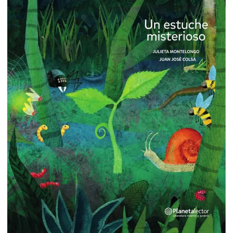 Un estuche misterioso