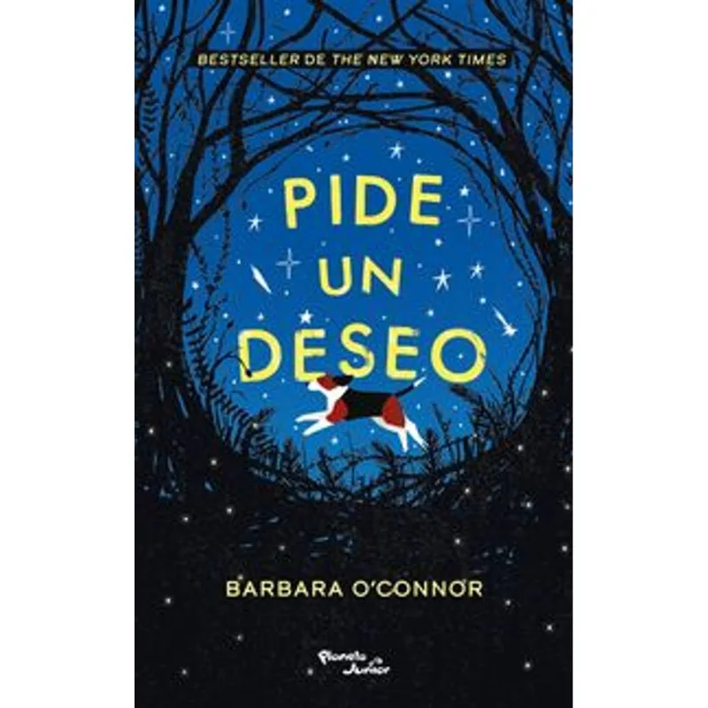 Pide un deseo: Un viaje inesperado hacia la esperanza y la familia Pide un deseo