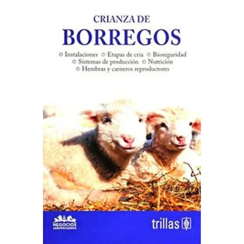 Crianza de borregos