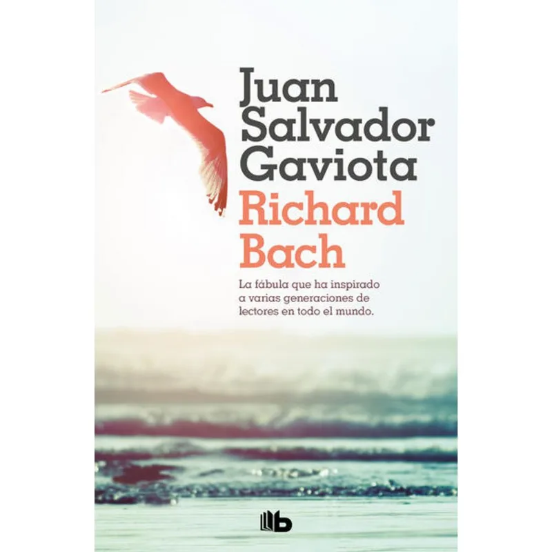 Juan Salvador Gaviota