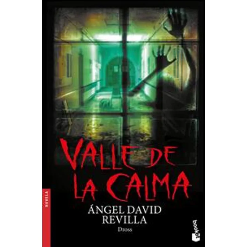 Valle de la Calma: El Siniestro Secreto del Hospital San Niño Valle de la calma