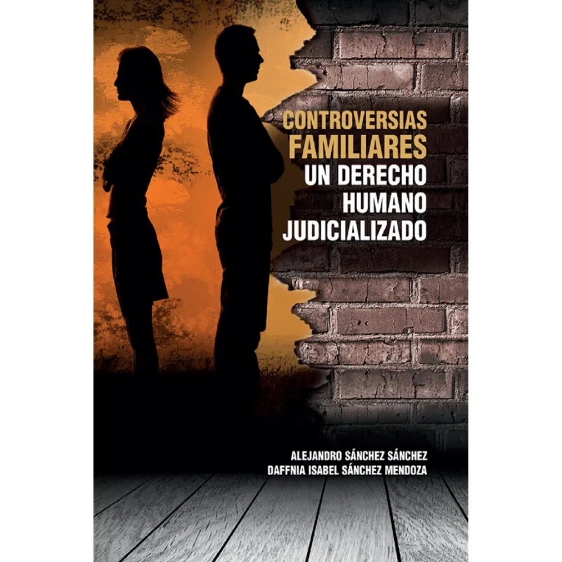 Controversias familiares, un derecho humano judicializado