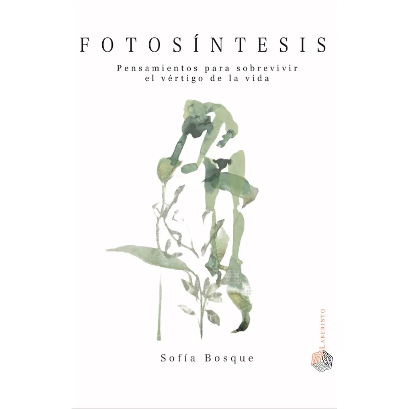 Fotosintesis Fotosíntesis
