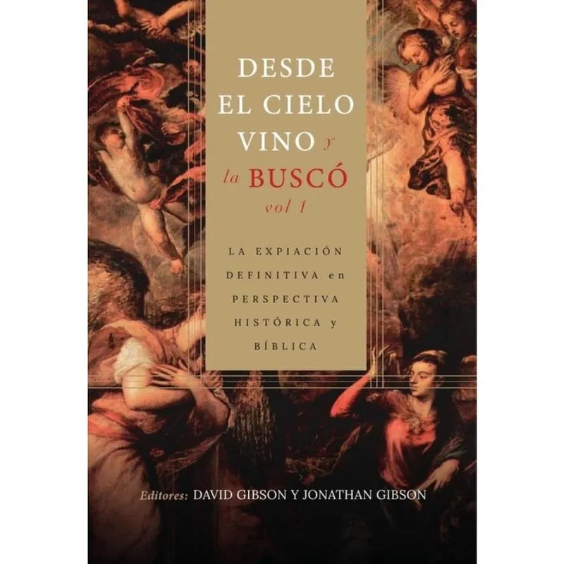 Desde el cielo vino y la buscó – vol. - Espanhol
