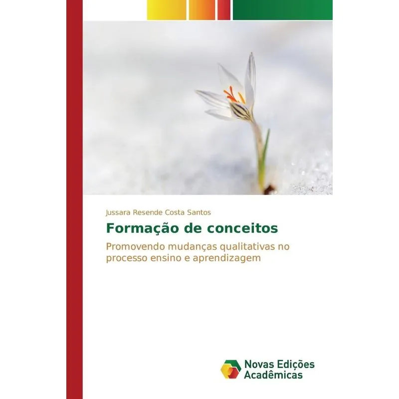 Formação de conceitos