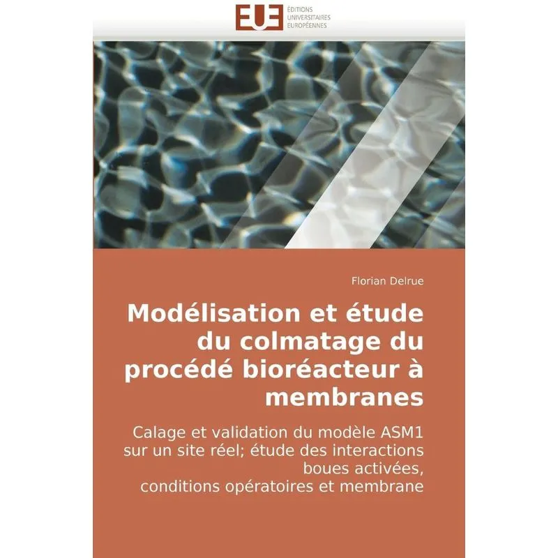 Modelisation Et Etude Du Colmatage Du Procede Bioreacteur A