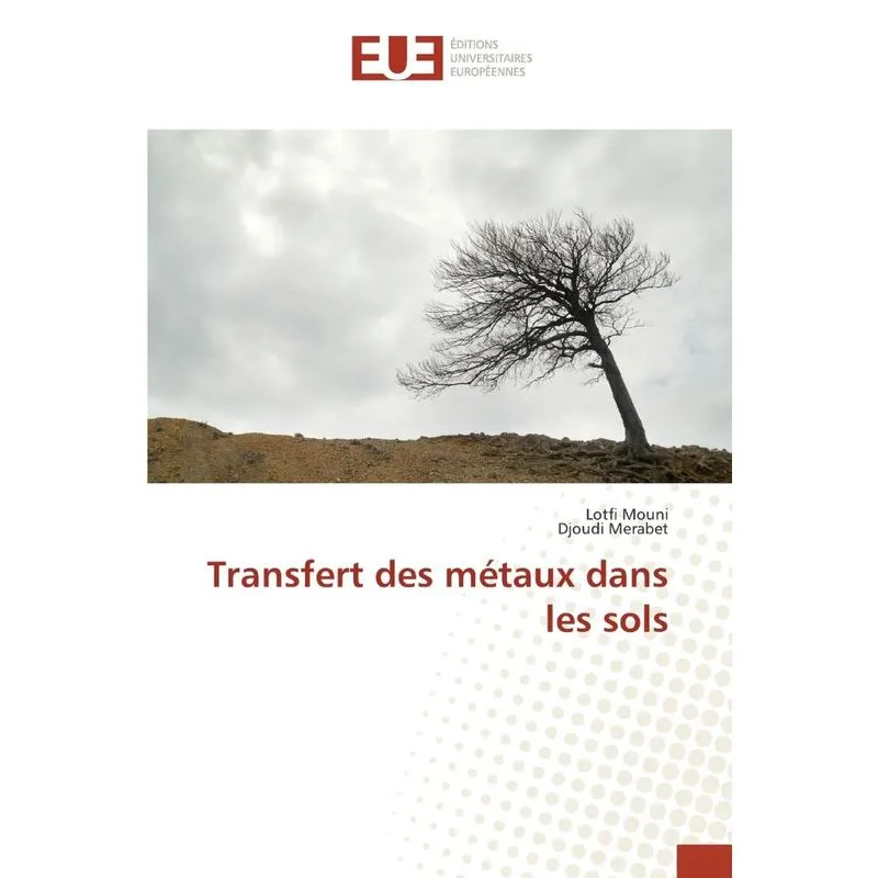 Transfert des métaux dans les sols