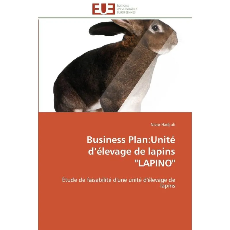 Business plan