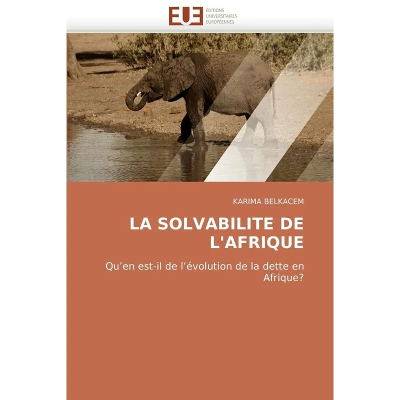 La solvabilite de lafrique