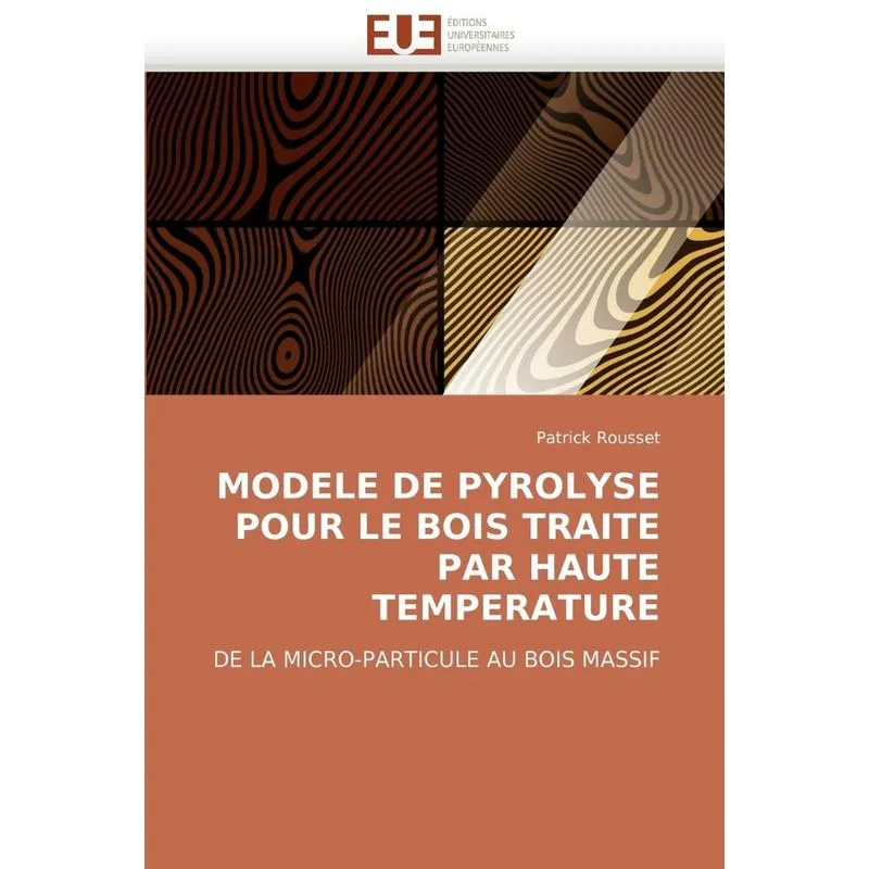 Livro Modele de pyrolyse pour le bois traite par haute temperature