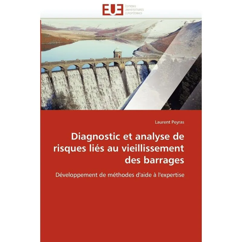 Diagnostic et analyse de risques liés au vieillissement des