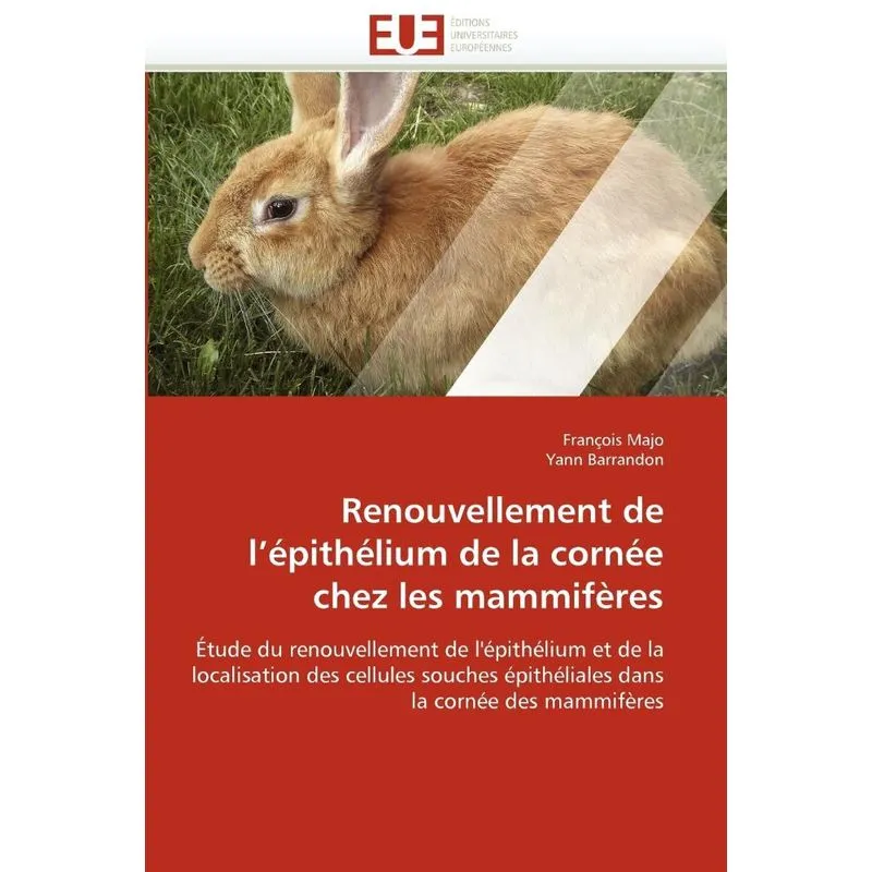 Renouvellement de lépithélium de la cornée chez les mammi