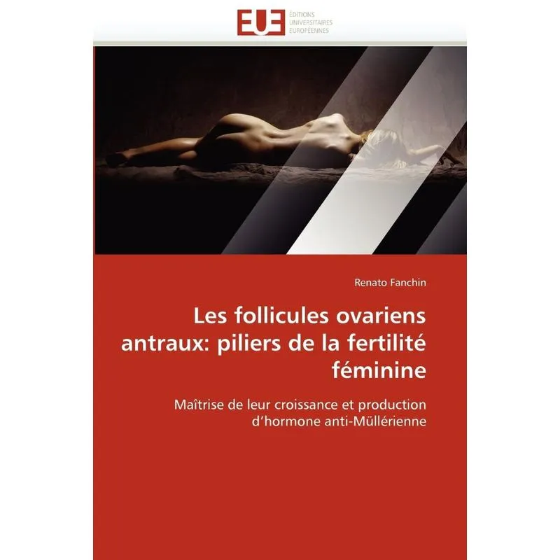 Les follicules ovariens antraux