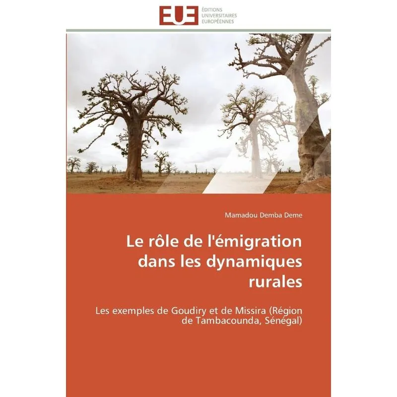 Les tice au cameroun