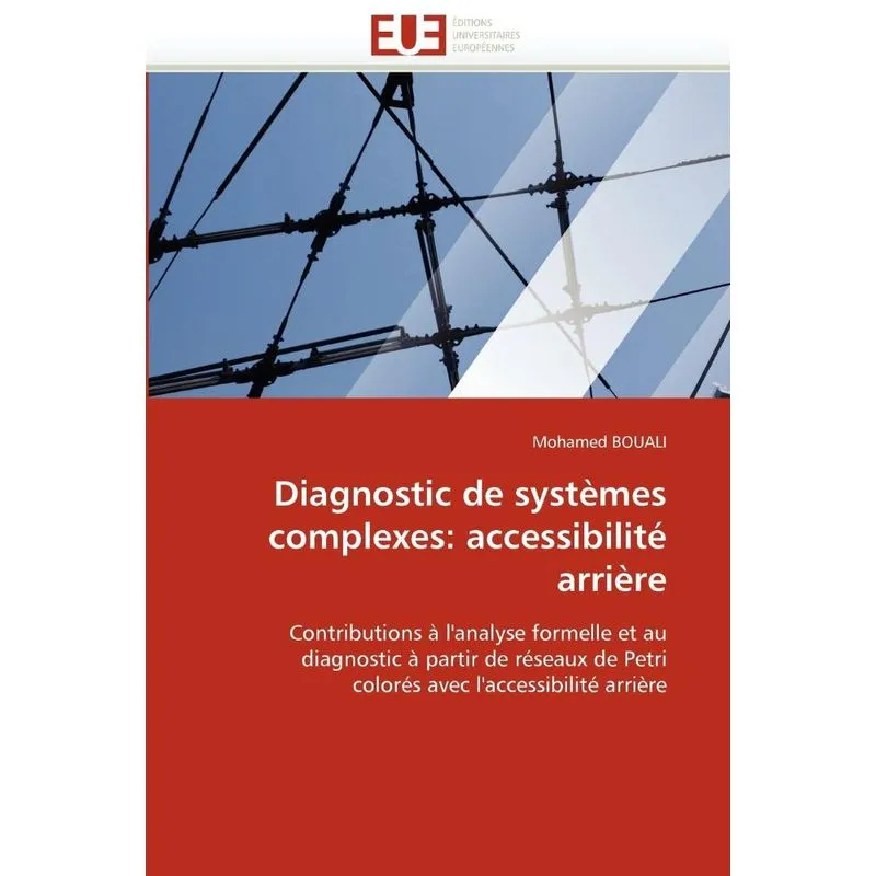 Diagnostic de systèmes complexes